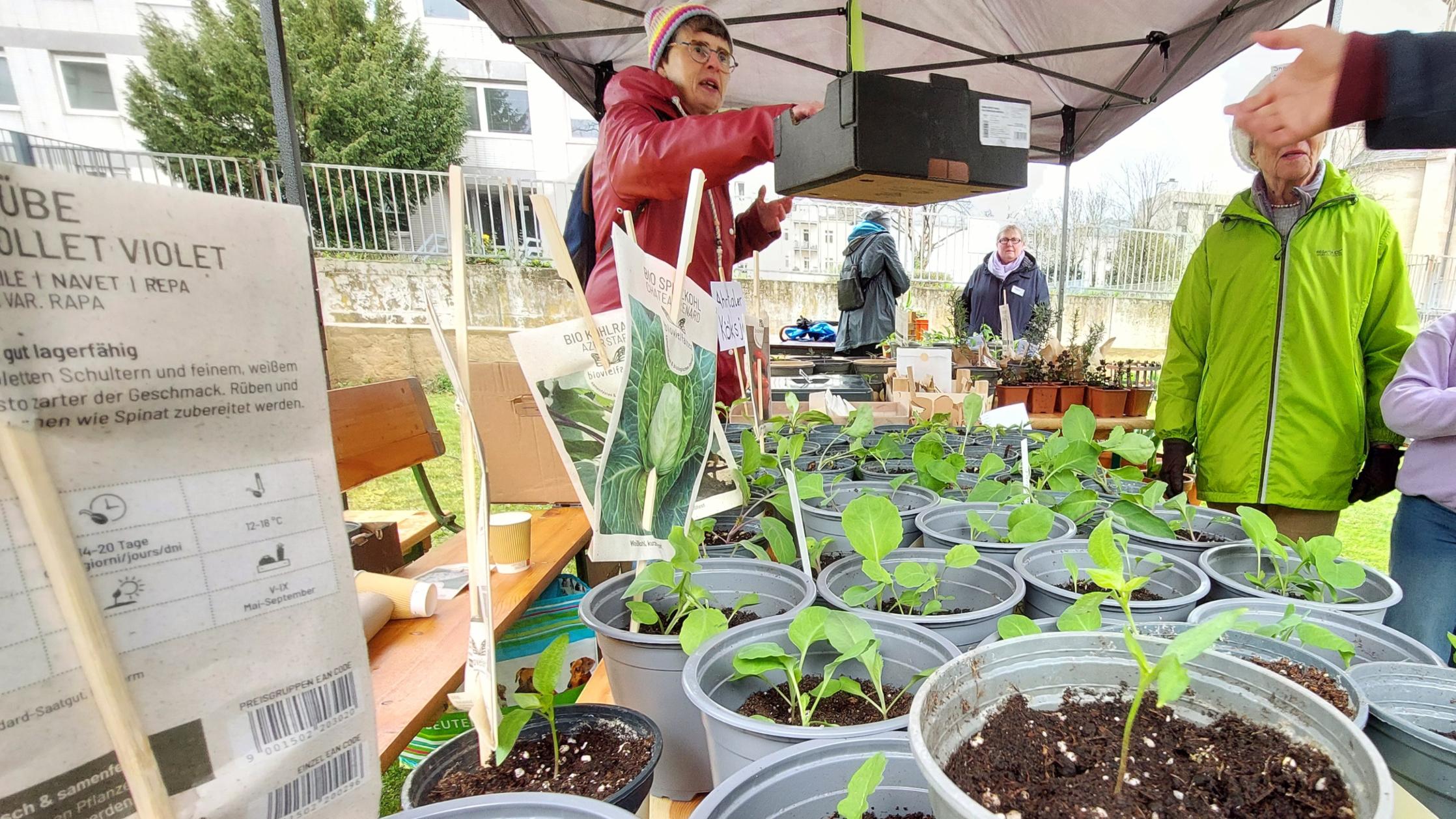Durchwachsen war nur das Wetter – ein Hoch gab es bei Besucherzahlen