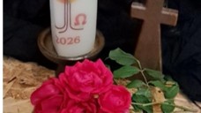 Trauer und Begleitung