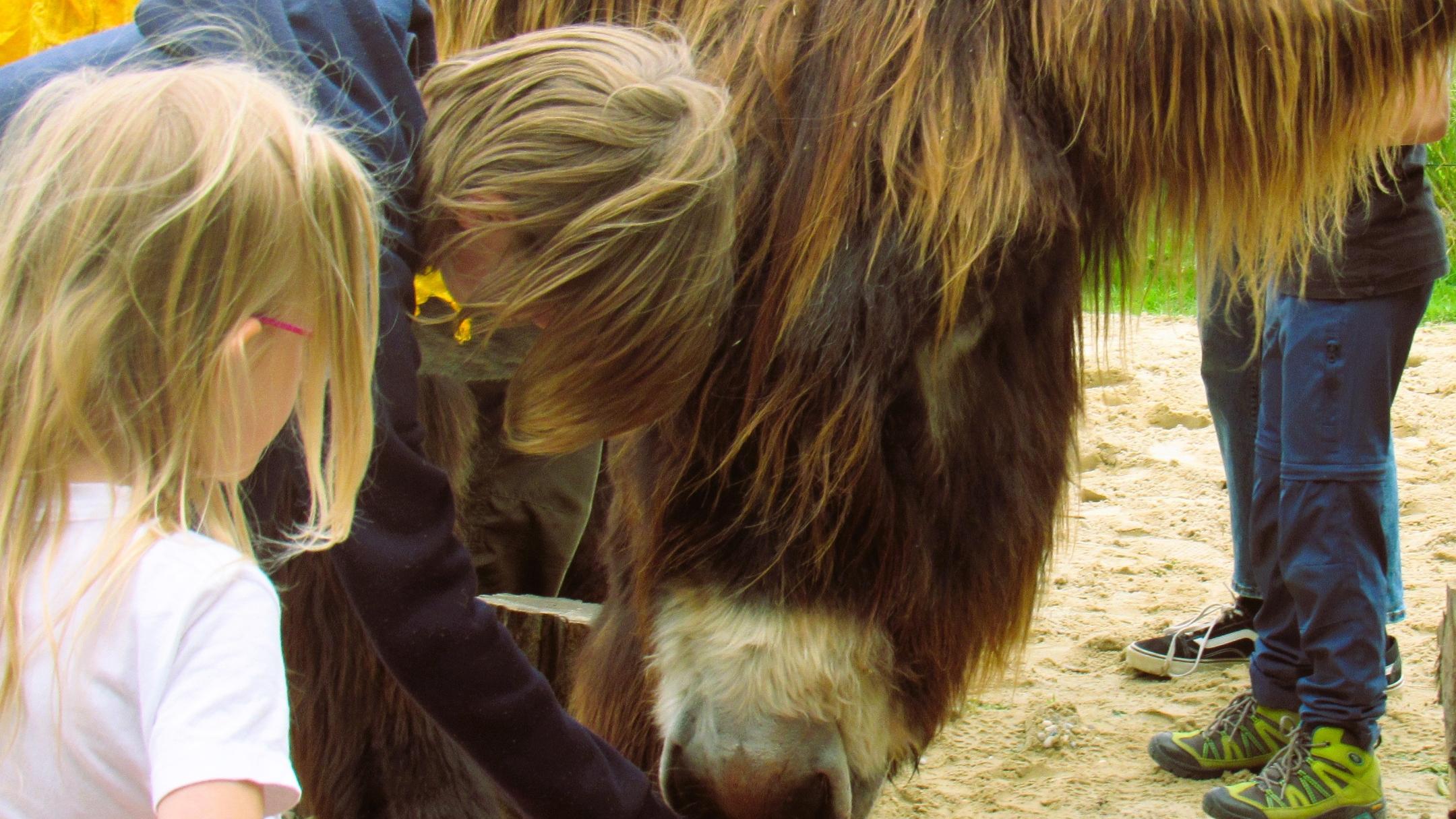 Foto: Auf den Touren gibt es immer sehr viel Schönes zu erleben.