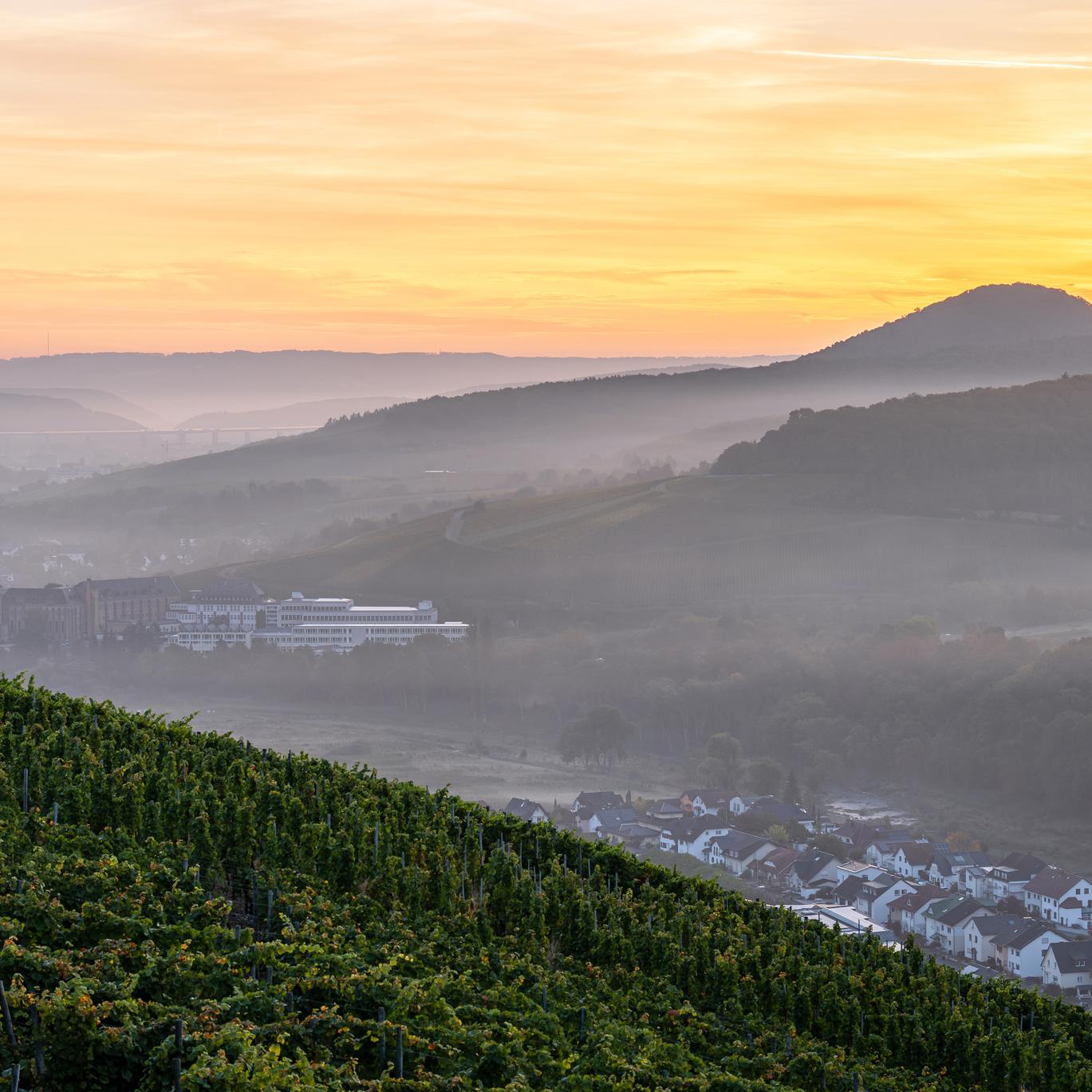 Pastoraler Raum Bad Neuenahr-Ahrweiler