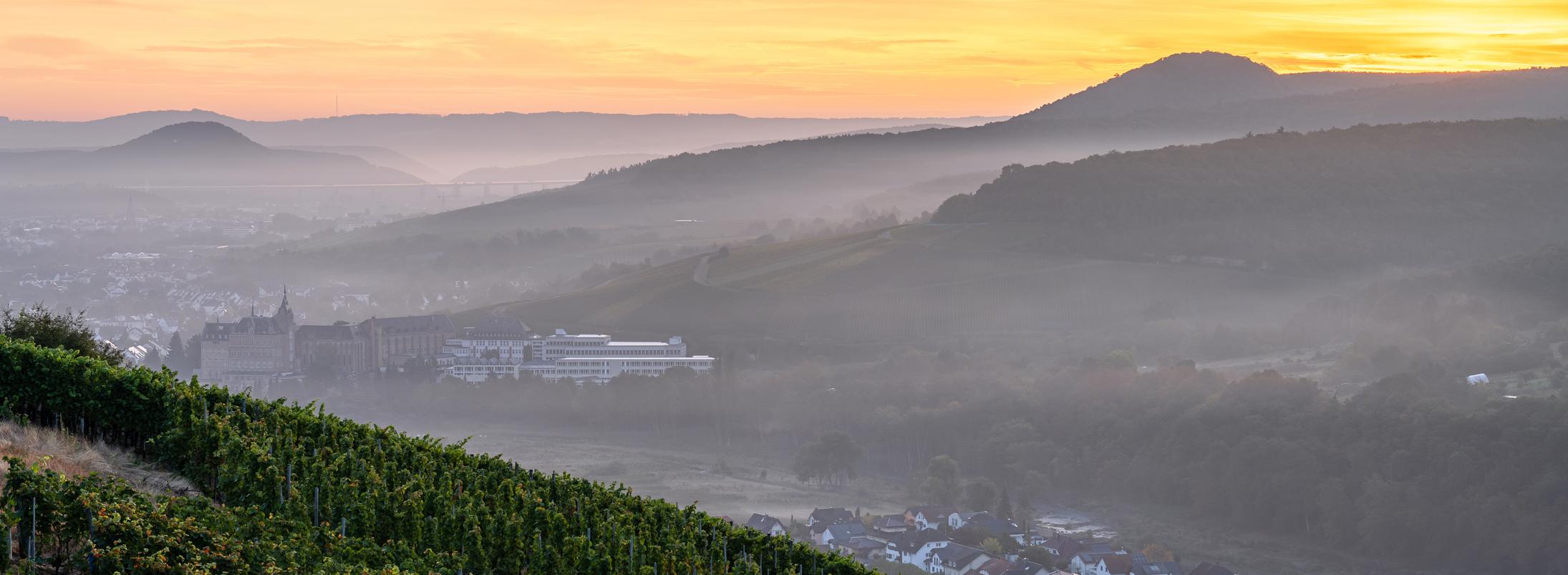 Pastoraler Raum Bad Neuenahr-Ahrweiler