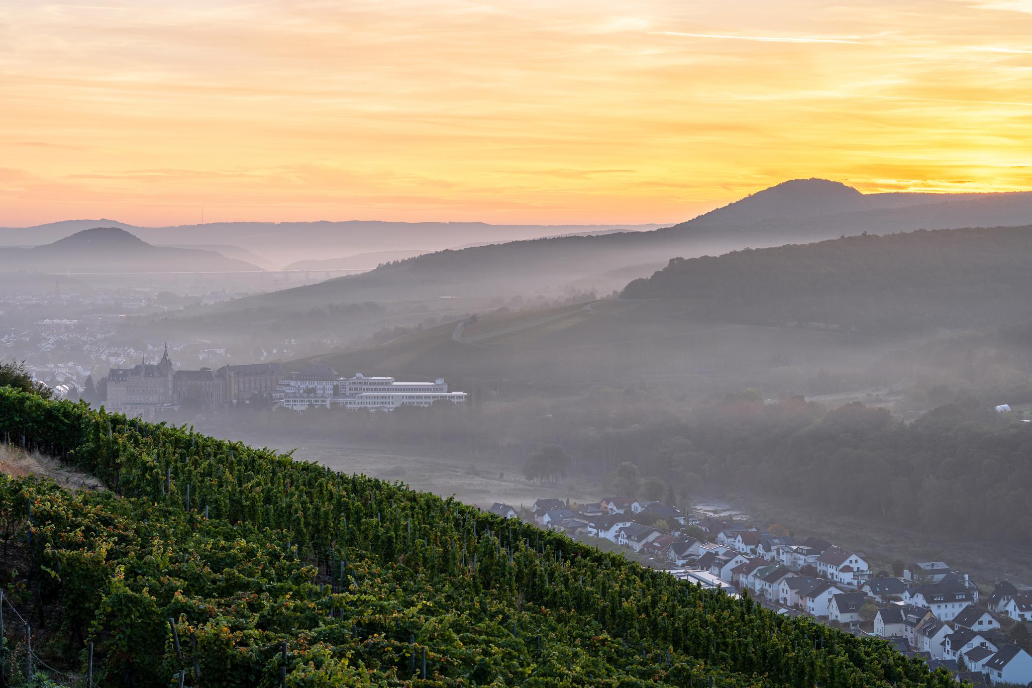 Pastoraler Raum Bad Neuenahr-Ahrweiler